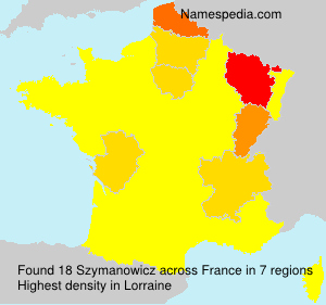 Surname Szymanowicz in France Surname Szymanowicz in France