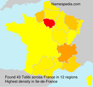 Surname Talibi in France Surname Talibi in France