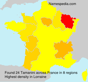Tamanini Tamanini