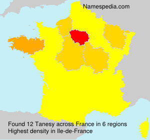 Surname Tanesy in France Surname Tanesy in France