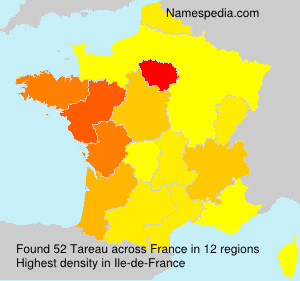 Tareau Tareau