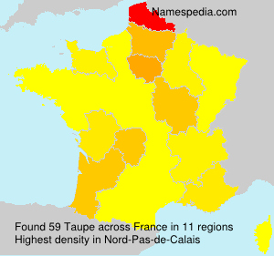 Surname Taupe in France Surname Taupe in France
