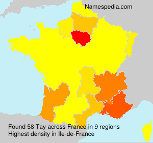 Surname Tay in France