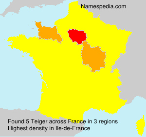 Surname Teiger in France Surname Teiger in France