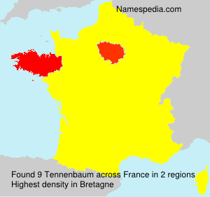 Tennenbaum Tennenbaum