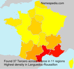 Surname Tercero in France