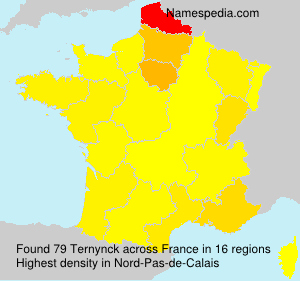 Surname Ternynck in France Surname Ternynck in France