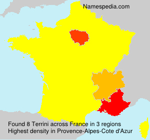 Surname Terrini in France Surname Terrini in France