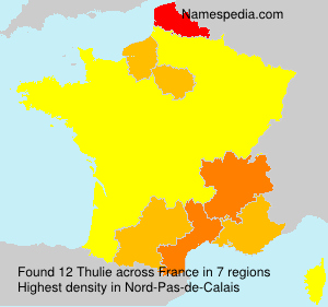 Surname Thulie in France Surname Thulie in France