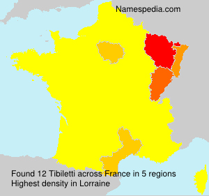 Surname Tibiletti in France Surname Tibiletti in France