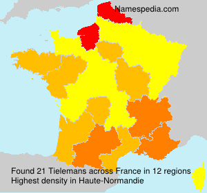 Surname Tielemans in France Surname Tielemans in France