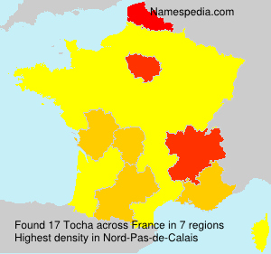 Surname Tocha in France Surname Tocha in France