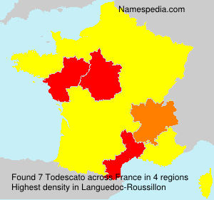 Surname Todescato in France Surname Todescato in France