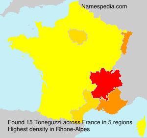 Surname Toneguzzi in France