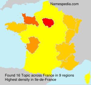 Surname Topic in France Surname Topic in France
