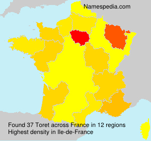 Surname Toret in France