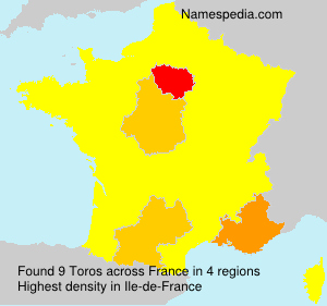 Toros Toros