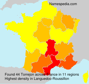 Surname Torrejon in France Surname Torrejon in France