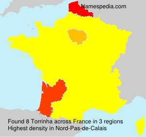 Surname Torrinha in France Surname Torrinha in France