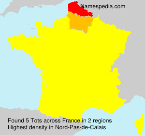 Surname Tots in France Surname Tots in France