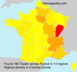 Surname Toubin in France Surname Toubin in France