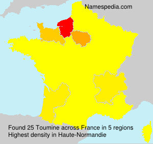 Surname Toumine in France Surname Toumine in France