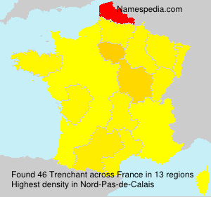 Surname Trenchant in France Surname Trenchant in France