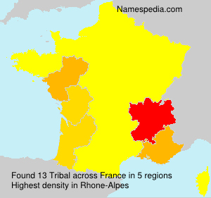 Surname Tribal in France Surname Tribal in France