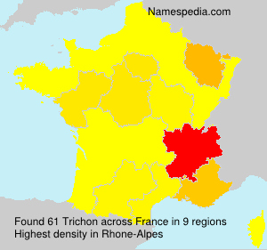 Trichon Trichon