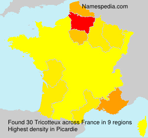 Surname Tricotteux in France Surname Tricotteux in France