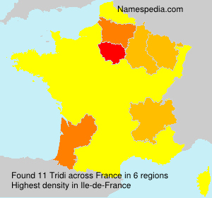 Surname Tridi in France Surname Tridi in France