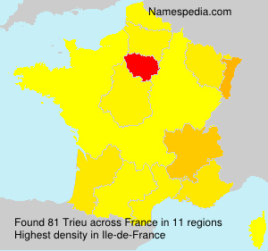 Surname Trieu in France Surname Trieu in France