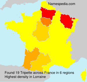 Surname Tripette in France Surname Tripette in France