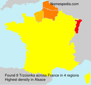 Surname Trzcionka in France Surname Trzcionka in France