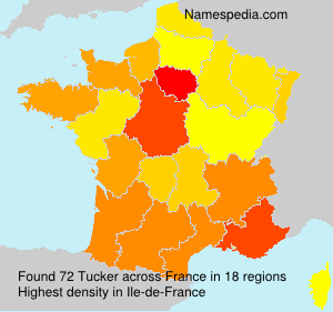Surname Tucker in France Surname Tucker in France