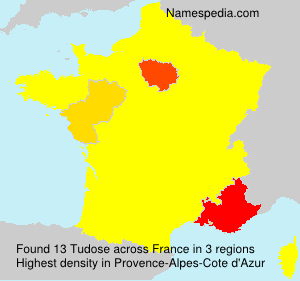 Surname Tudose in France Surname Tudose in France