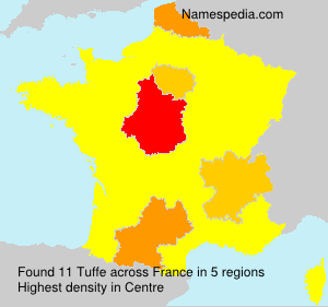 Surname Tuffe in France Surname Tuffe in France