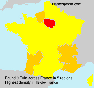 Surname Tuin in France Surname Tuin in France