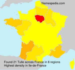 Surname Tulle in France Surname Tulle in France