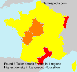 Surname Tuller in France Surname Tuller in France