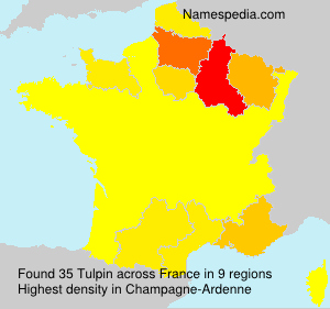 Surname Tulpin in France Surname Tulpin in France