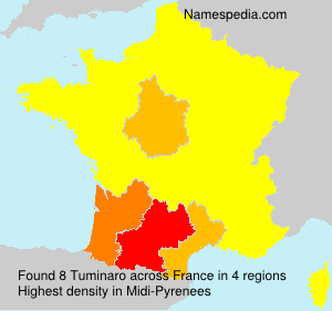 Surname Tuminaro in France Surname Tuminaro in France
