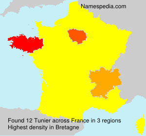 Surname Tunier in France Surname Tunier in France