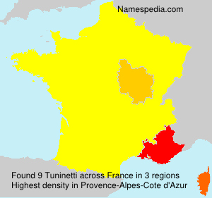 Surname Tuninetti in France Surname Tuninetti in France