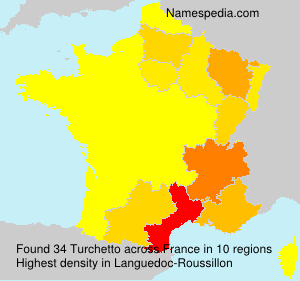 Surname Turchetto in France Surname Turchetto in France
