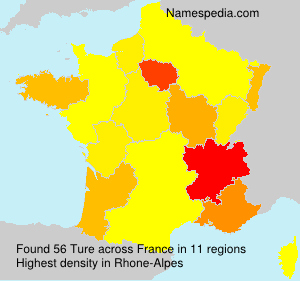 Surname Ture in France Surname Ture in France