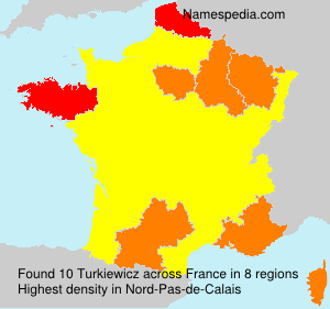 Surname Turkiewicz in France Surname Turkiewicz in France
