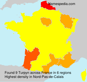 Surname Turpyn in France Surname Turpyn in France