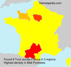 Surname Turzi in France Surname Turzi in France