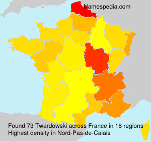 Surname Twardowski in France Surname Twardowski in France